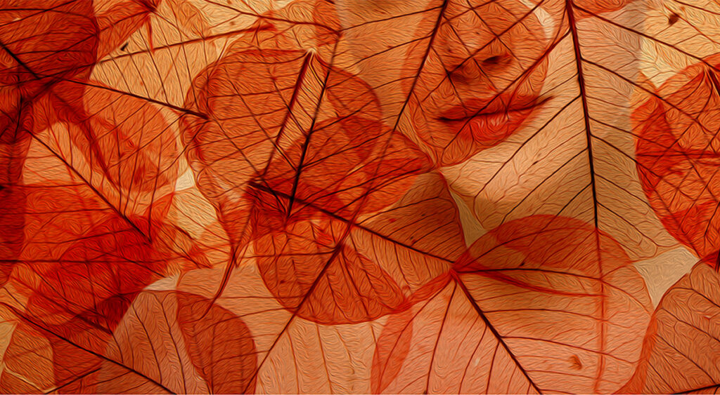 Cosmetic procedures art in Toronto